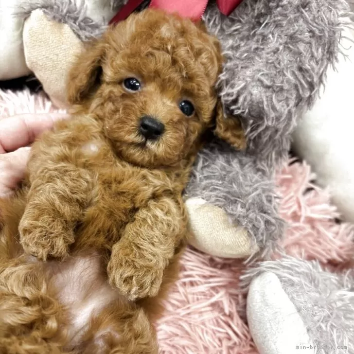 child img 1 057728bfc927.jpg