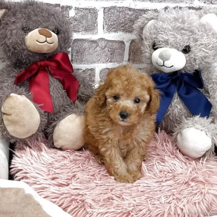 child img 1 064a26ae3fc4.jpg