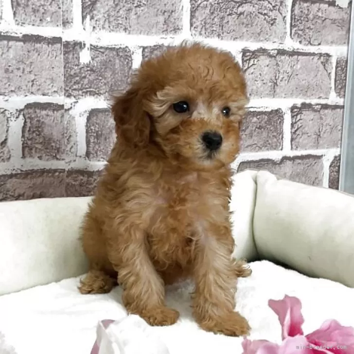 child img 1 085919febce4.jpg