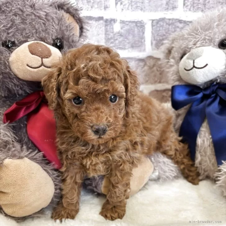 child img 1 0dcf6cfb1295.jpg