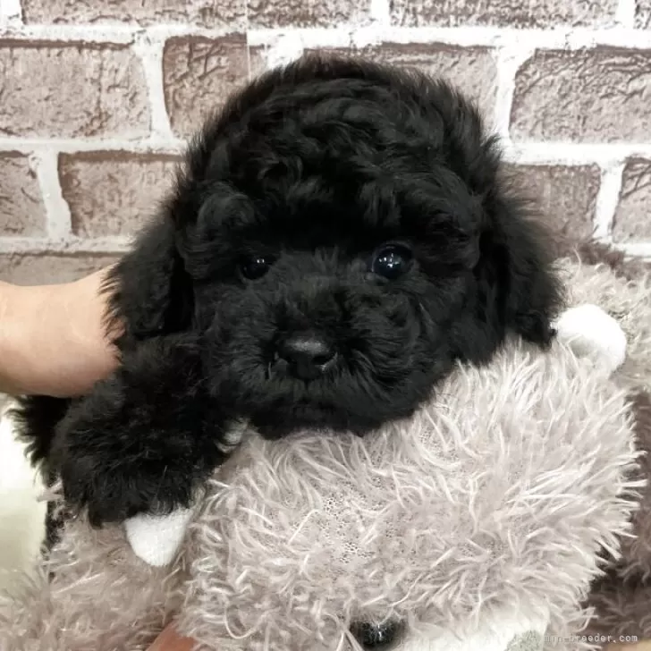 child img 1 0e333fe0d9c7.jpg