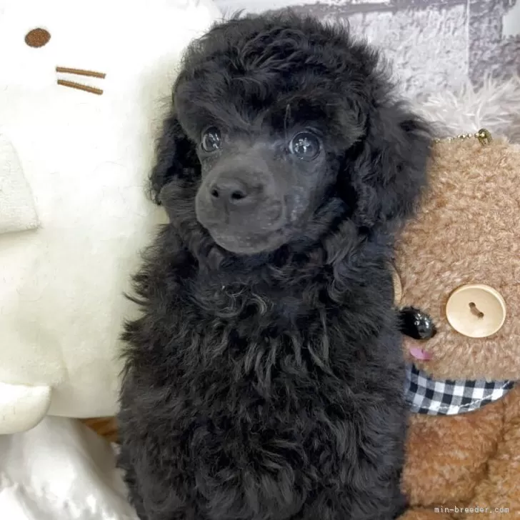 child img 1 168312cfc969.jpg