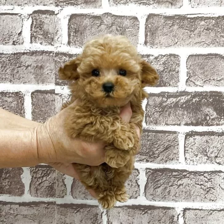 child img 1 18529e0c7171.jpg