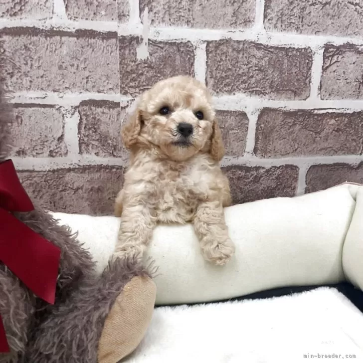 child img 1 1c32f37ba078.jpg