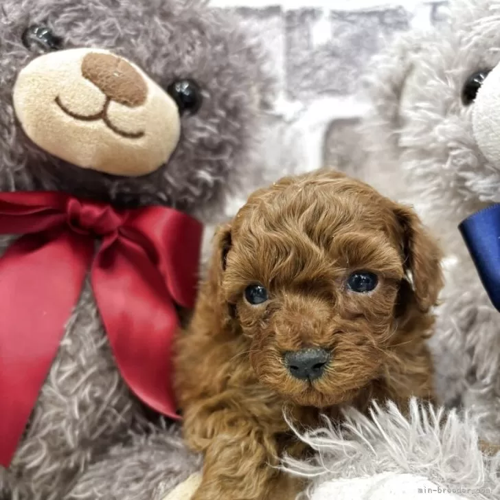 child img 1 20c699266774.jpg