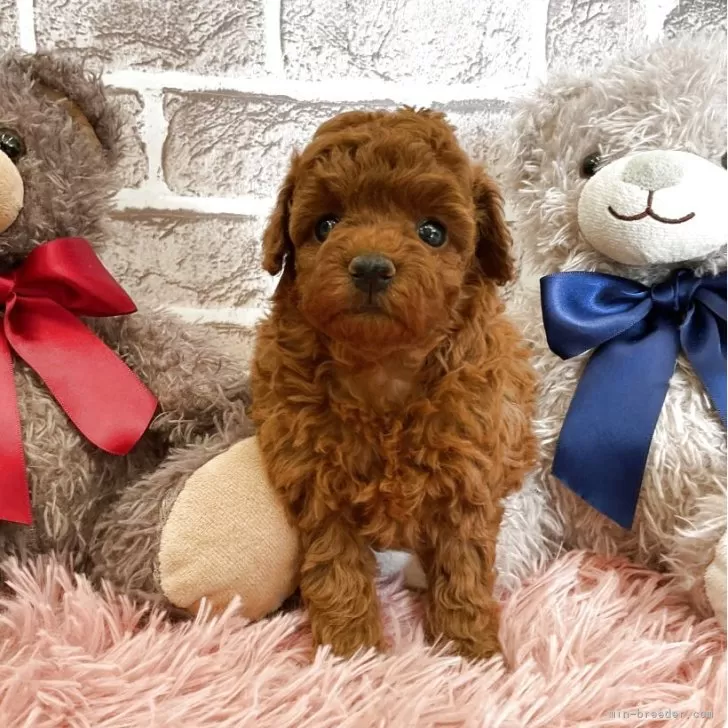 child img 1 22eac3357295.jpg