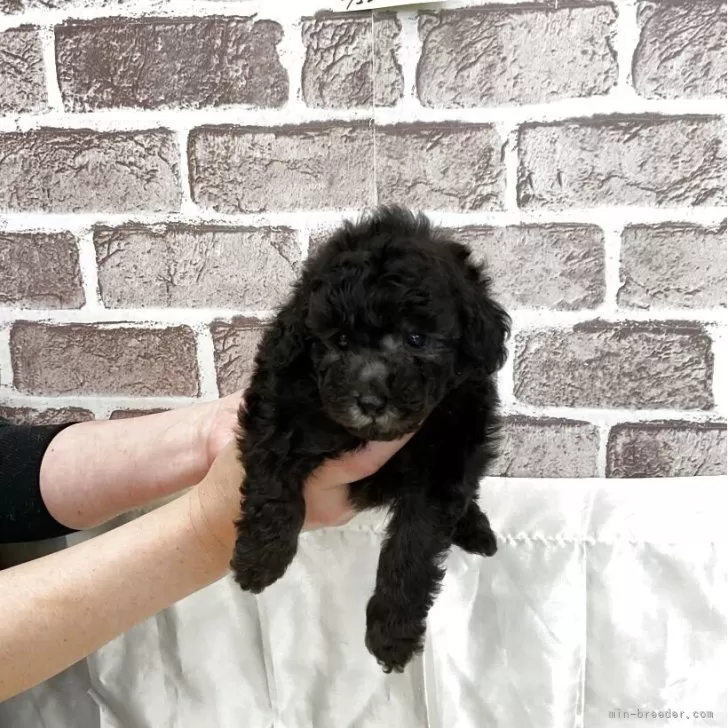 child img 1 23194c6cc8d9.jpg