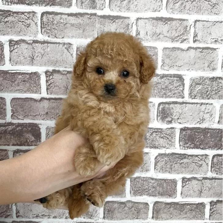 child img 1 2a9ce741f8e2.jpg