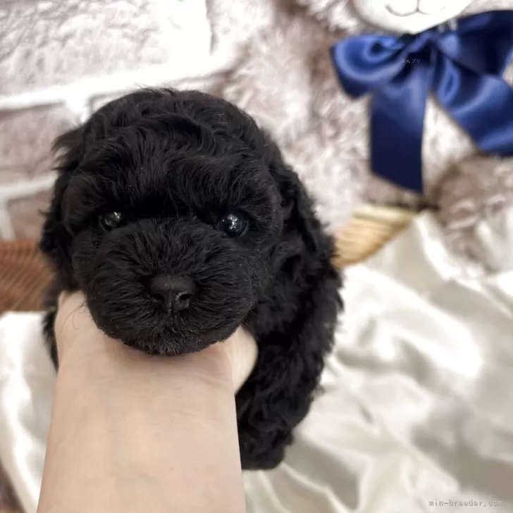 child img 1 352c54fec146.jpg