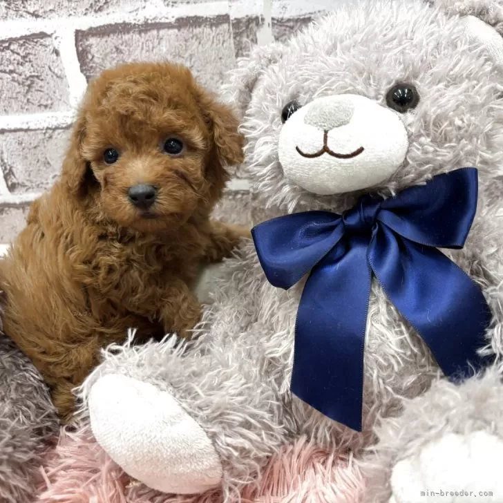 child img 1 42a8b0887953.jpg