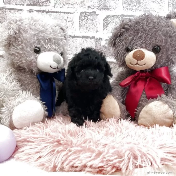 child img 1 6ef8d38be552.jpg