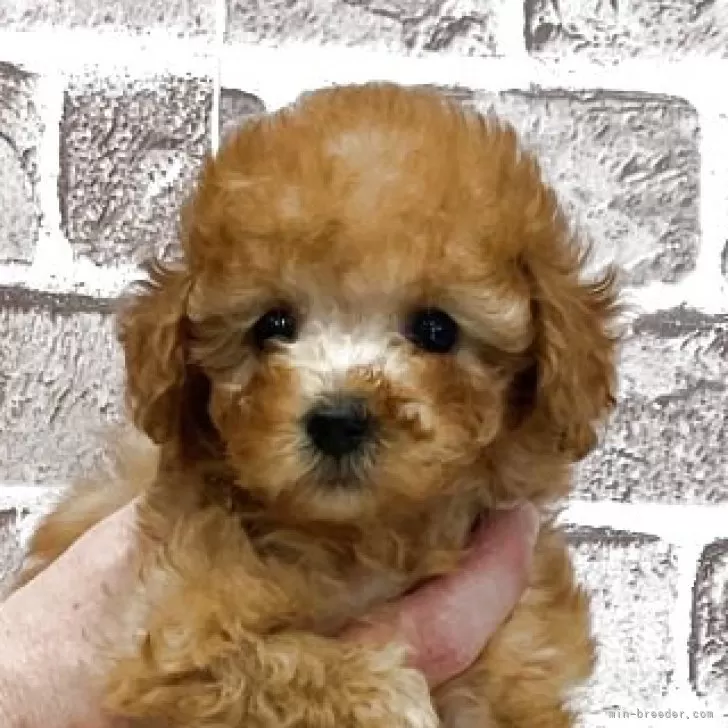 child img 1 6f274f7efc44.jpg