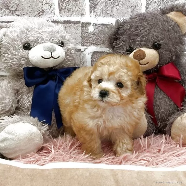 child img 1 702d3cf73a48.jpg