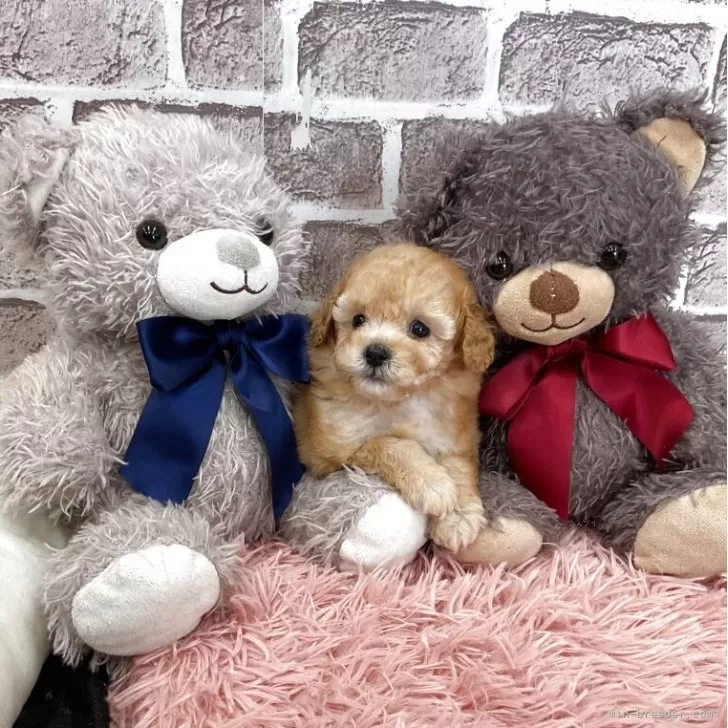 child img 1 7d3fe804c940.jpg