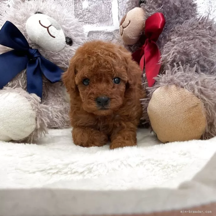 child img 1 880977c33da1.jpg