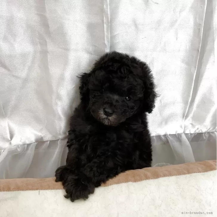 child img 1 941daed16777.jpg