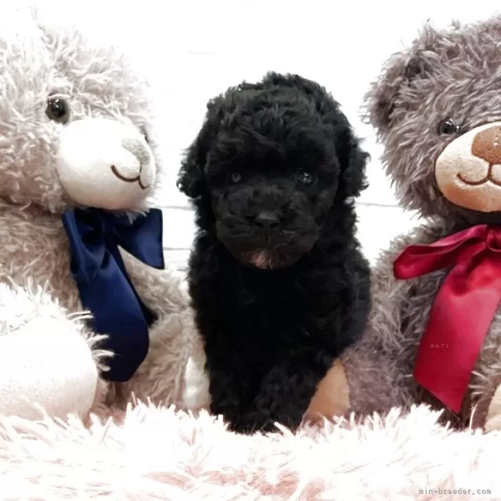 child img 1 96807146dba2.jpg