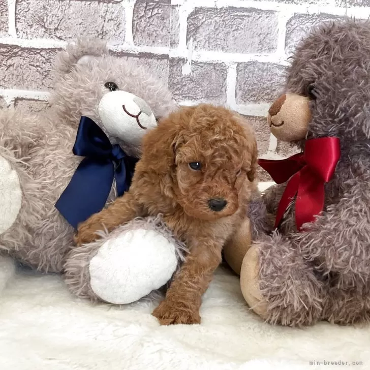 child img 1 99b526d8c517.jpg