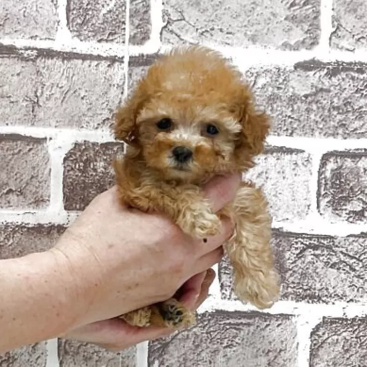 child img 1 9a043884a375.jpg