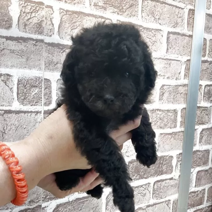 child img 1 9e341a881255.jpg