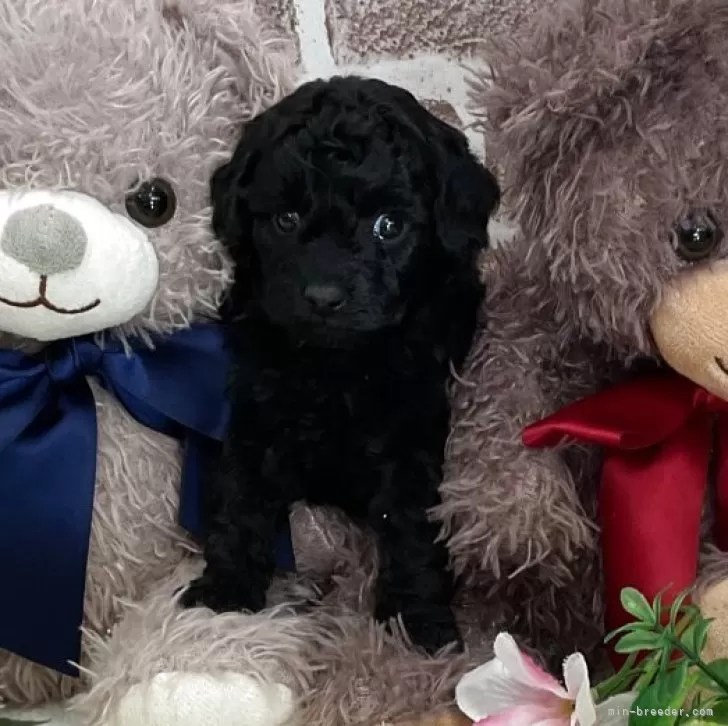 child img 1 9ec99b1c07a0.jpg 1