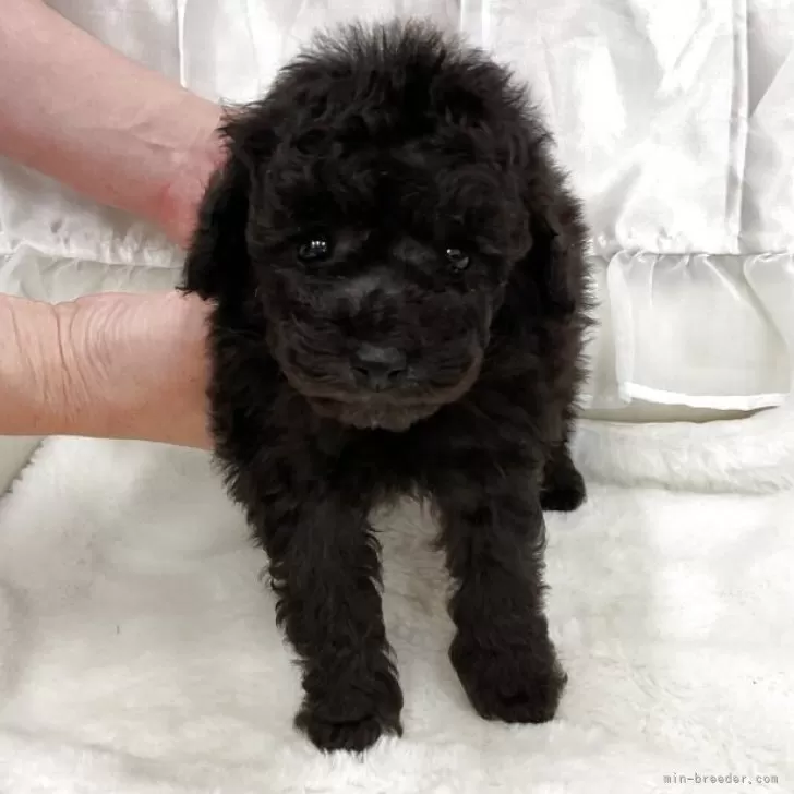 child img 1 a34780858281.jpg