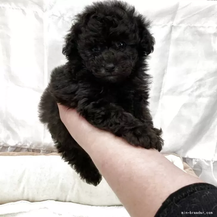 child img 1 a3e6a879bd24.jpg