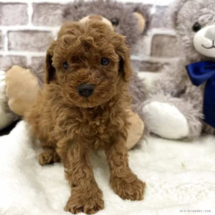 child img 1 a524c71c7498.jpg