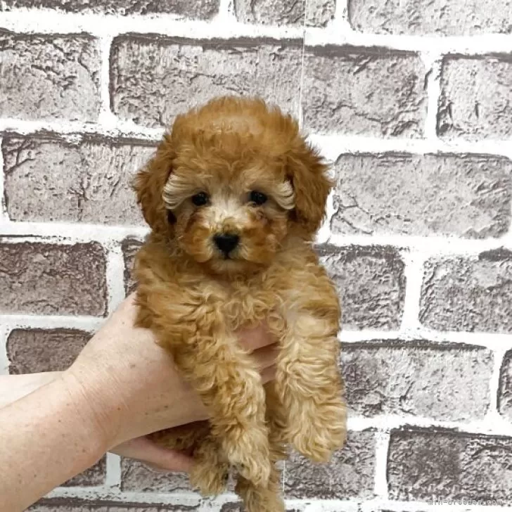 child img 1 a77f696f5b73.jpg