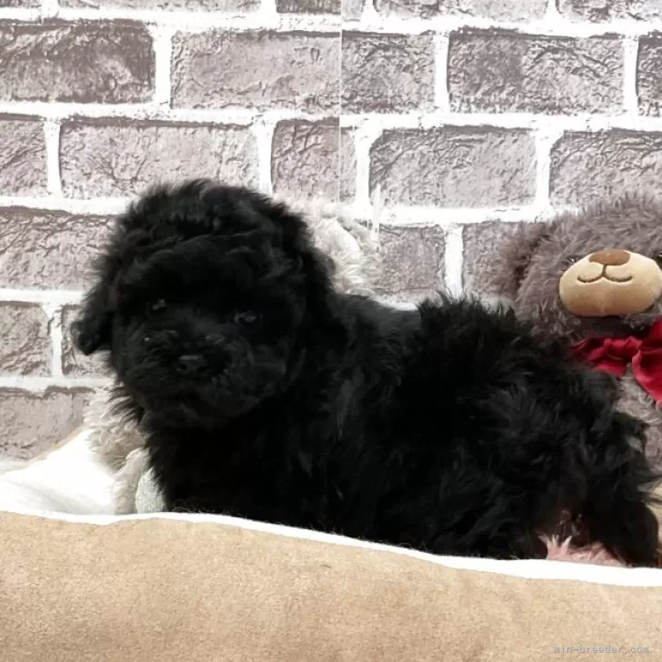 child img 1 b78c45d15892.jpg