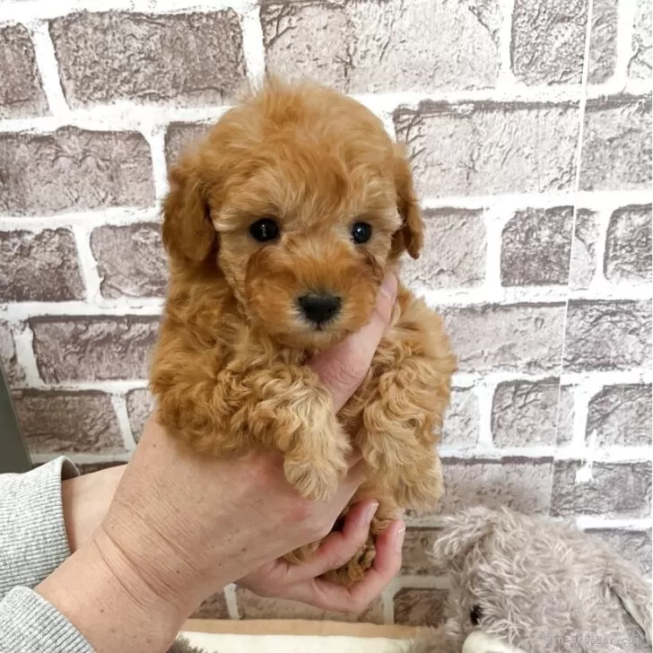 child img 1 ba0a1b49a0c4.jpg