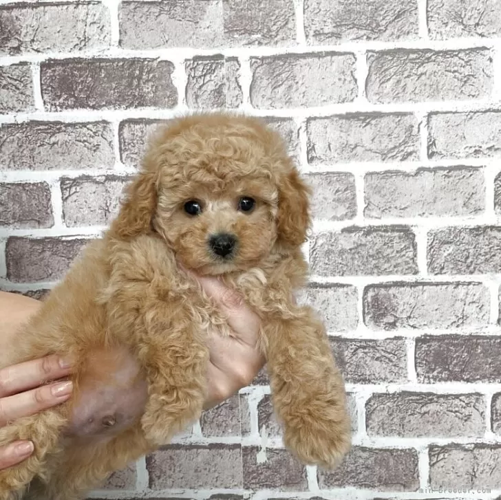 child img 1 bda78bd7baa5.jpg