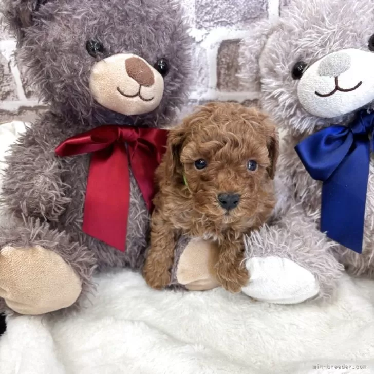 child img 1 bfa6583d8c21.jpg