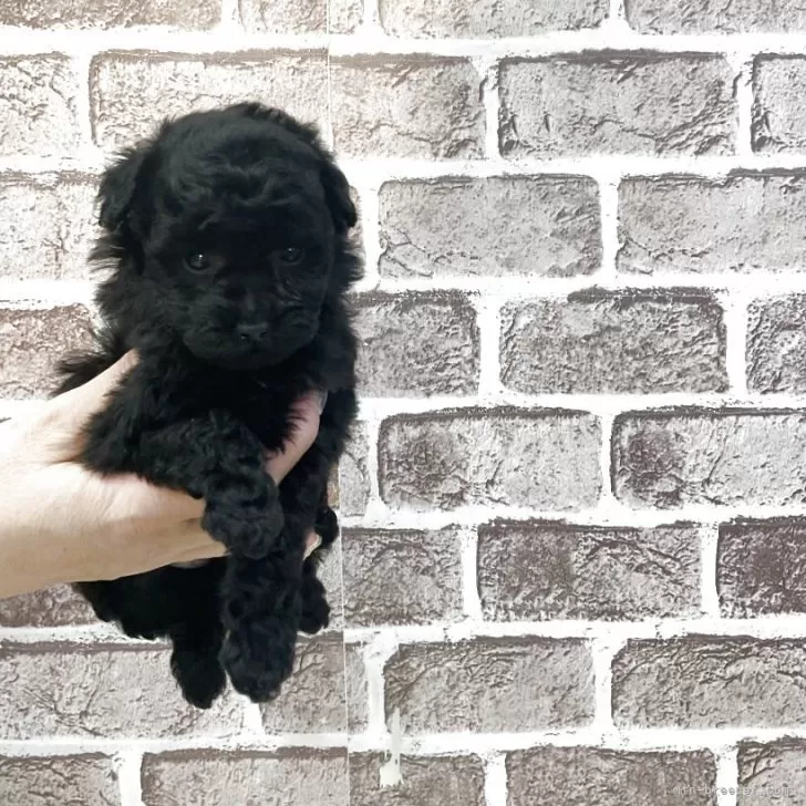 child img 1 c39d385403f5.jpg