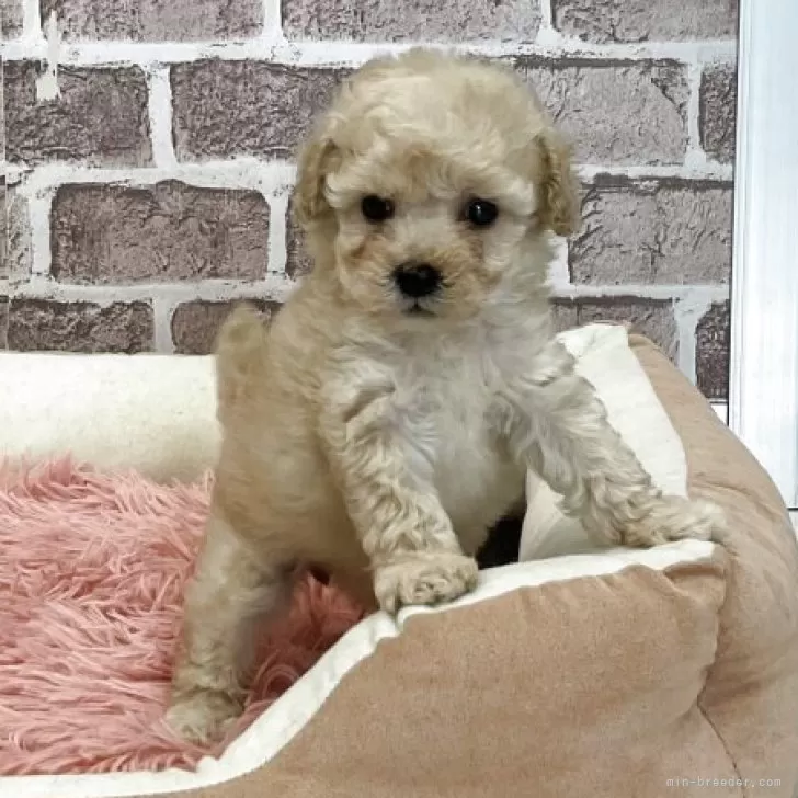 child img 1 e2be430cca29.jpg