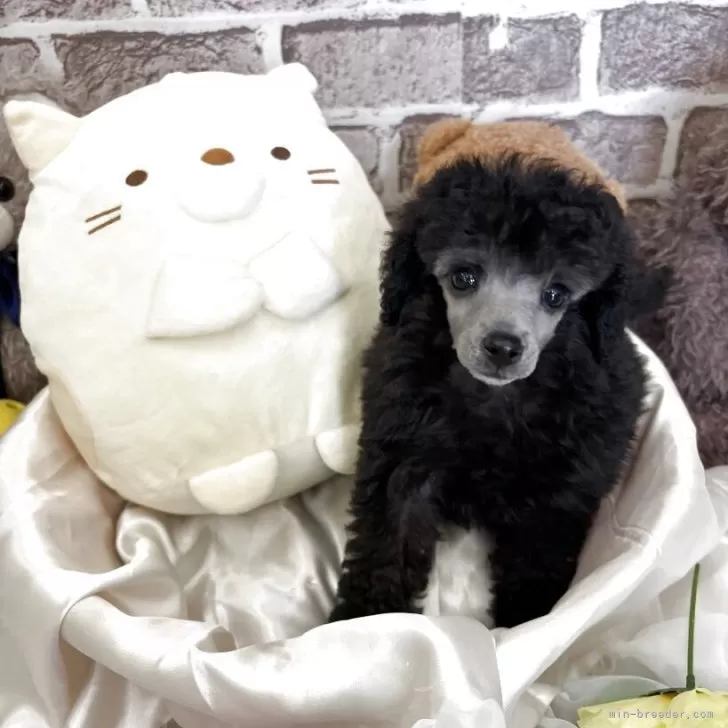 child img 1 fe1a686128c7.jpg