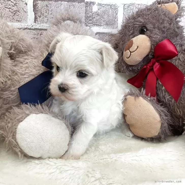 child img 1 1560191e90c8.jpg