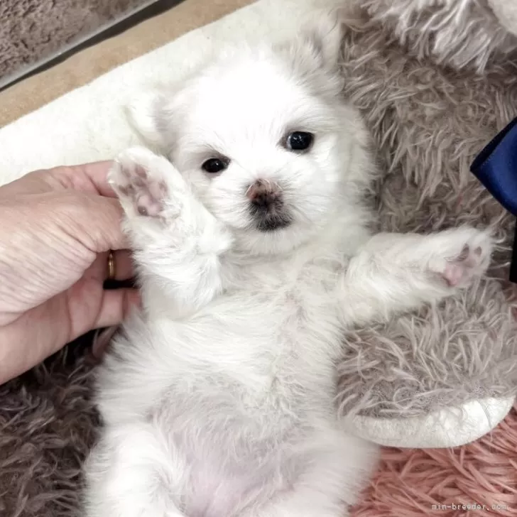 child img 1 24137d180f25.jpg