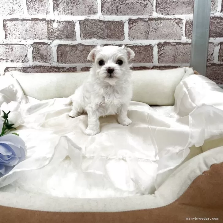 child img 1 524d70b00ef8.jpg