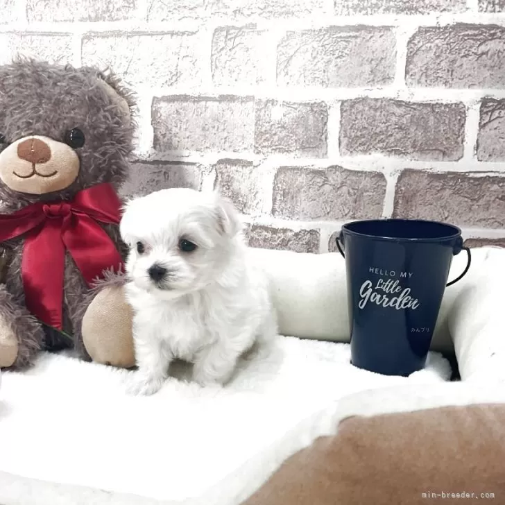 child img 1 88c967251c97.jpg