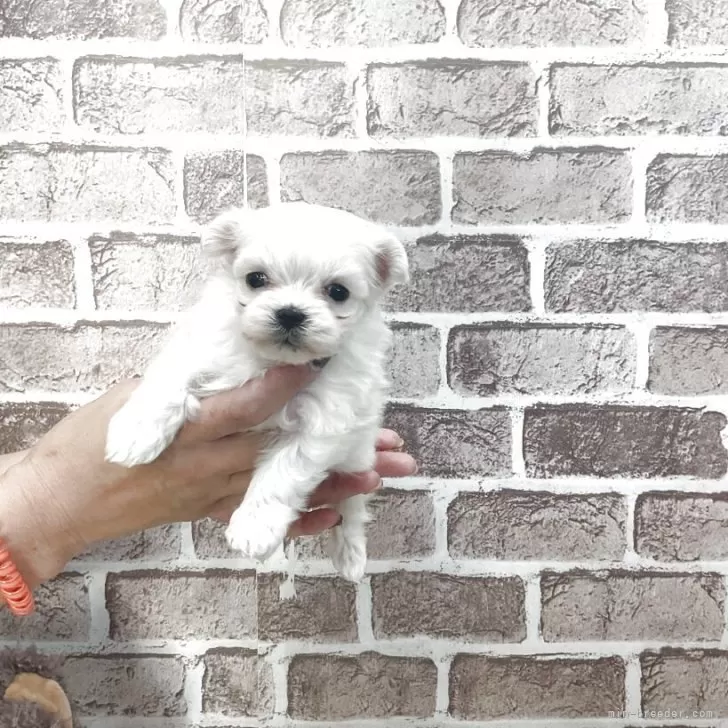 child img 1 9de2ebb91f21.jpg