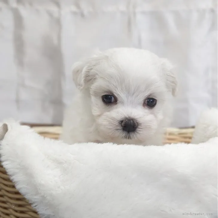 child img 1 c1b411f566c8.jpg