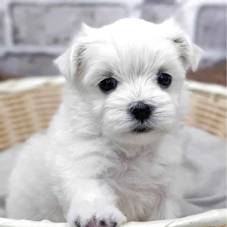 child img 1 df4b58d2d835.jpg