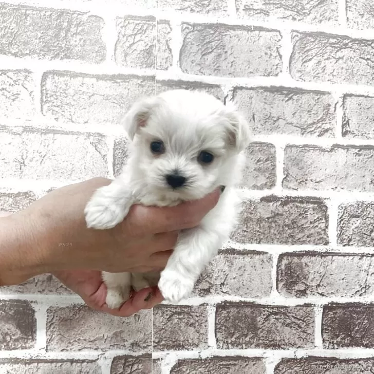 child img 1 fa608fc57193.jpg