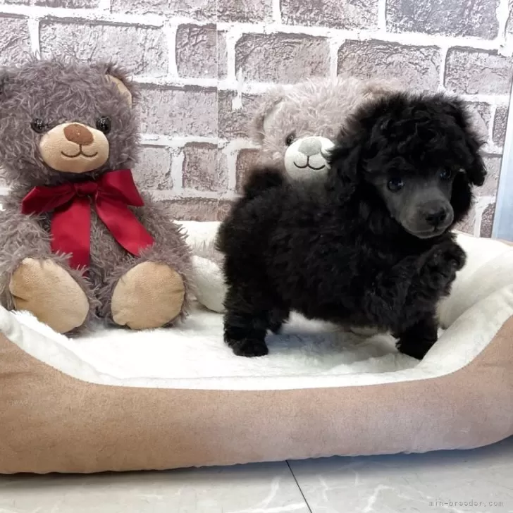 child img 1 e6ad7f87c7b1.jpg