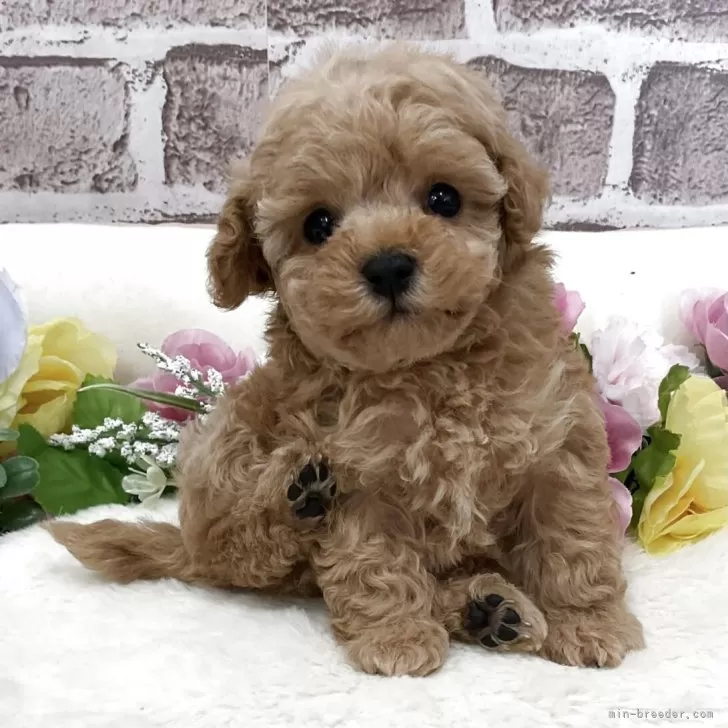 child img 1 69a7a93b0d71.jpg