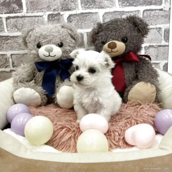 child_img_1_085365e34e00.jpg