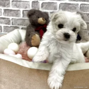 child_img_8_deb0be628fc3.jpg